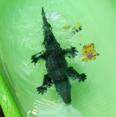 Remote Control Water Crocodile Game